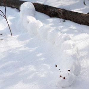 Charlotte Snow