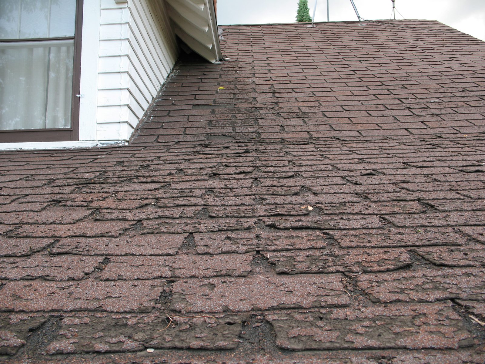 Faster_wear_of_asphalt_shingles_along_eaves