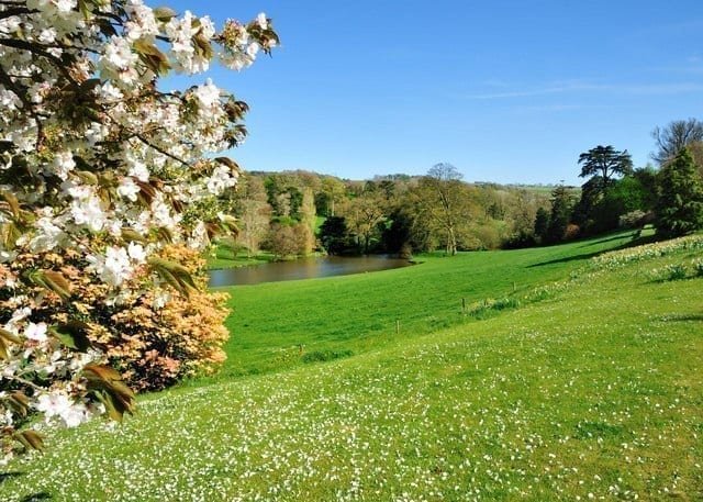 springtime house shopping