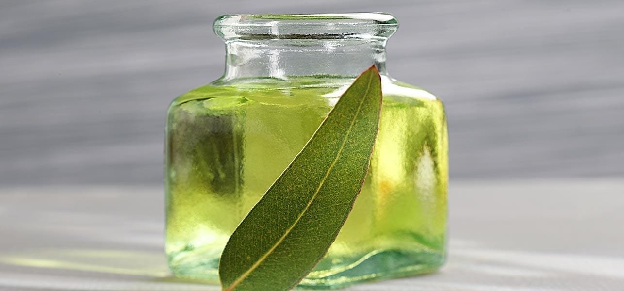 Go Green in Your Charlotte Home Danielle Edwards RE/MAX Realtor Charlotte NC