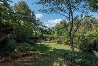 Sardis Croft-Charlotte