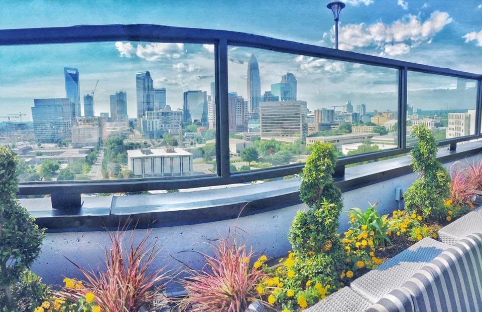 Uptown Charlotte's Four Wards: City Lights