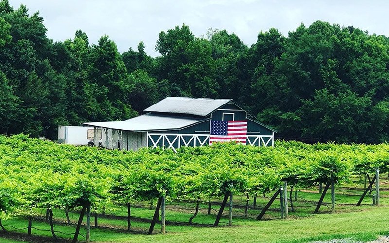 Rocky River Vineyards Stanly County NC near Locust and Whispering Hills